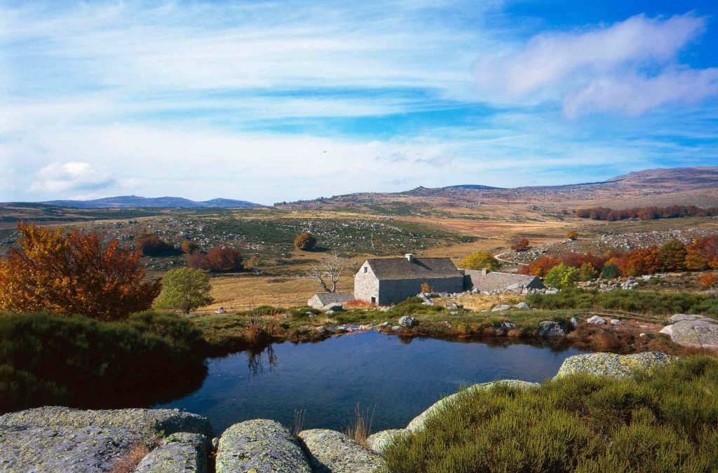 Parc National des Cévennes