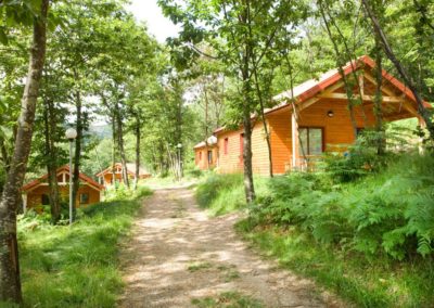 chataigniers du lac villefort chalet foret