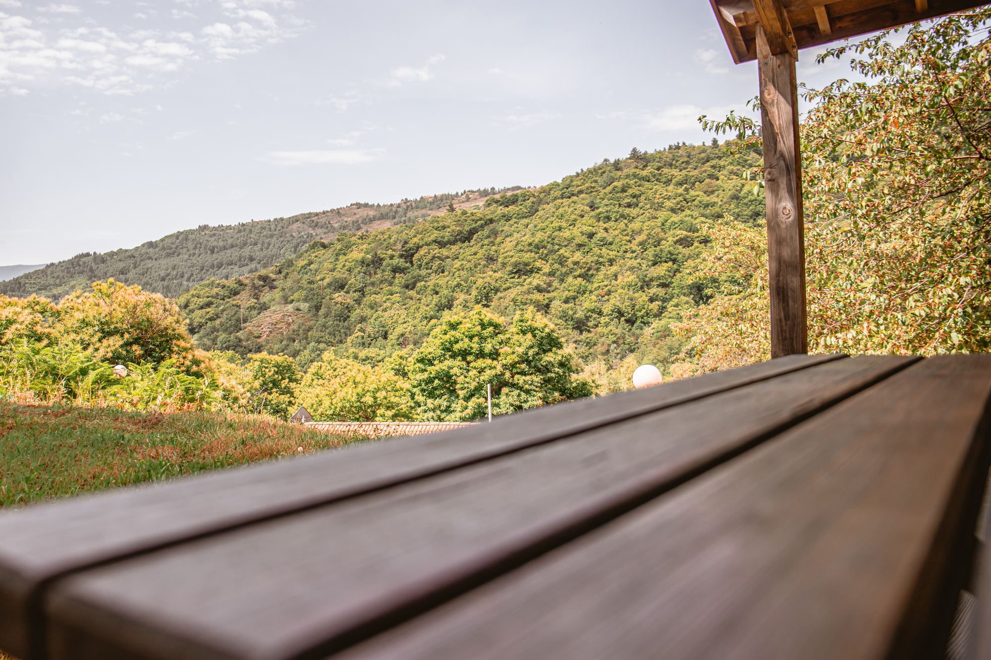 chataigniers du lac lozere chalets BD (25)