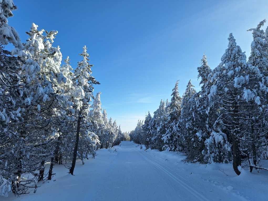 Mont lozere finiels