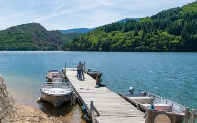 Un été au bord du lac