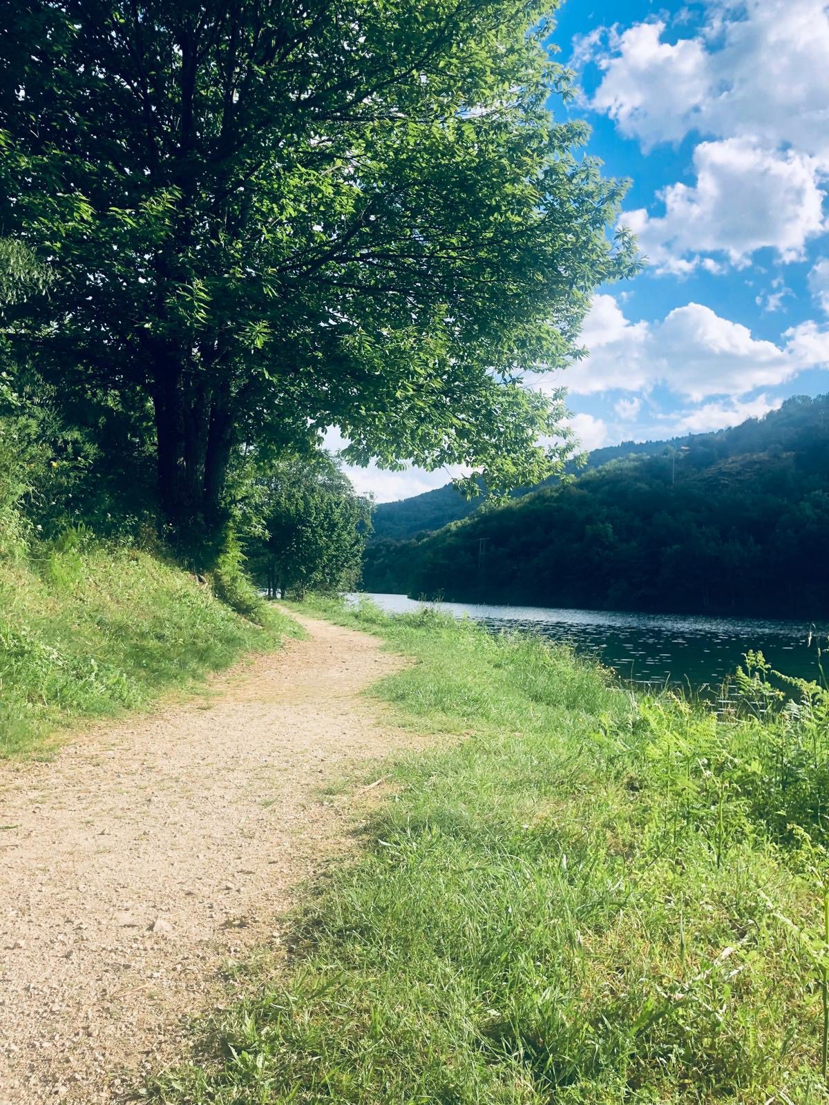 Rando Châtaigniers Randonnées, châtaigniers, Lozère, Occitanie, Cévennes,